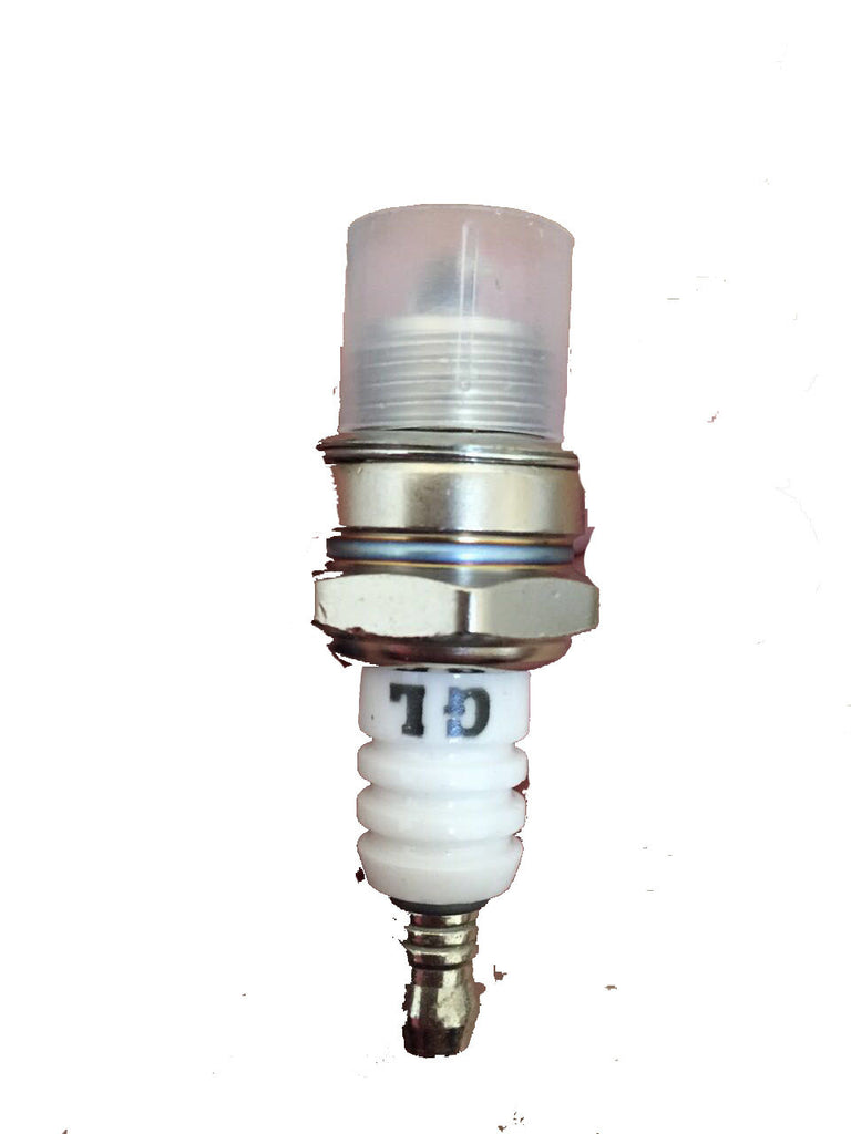 WS8E_10pcs